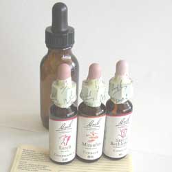 バッチブレンドボトル（30ｍｌ）