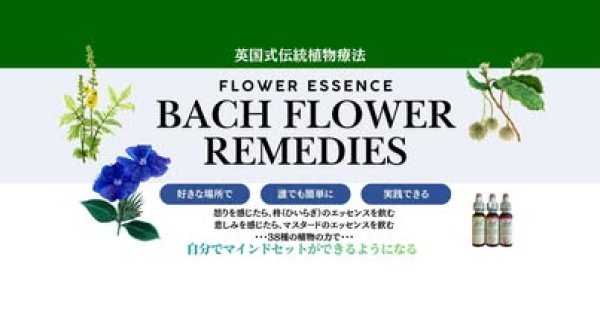 画像1: BachFlower認定講座（一括・即決） (1)