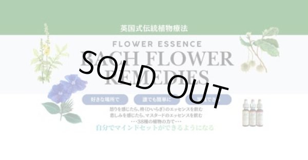 画像1: BachFlower認定講座（一括・即決） (1)